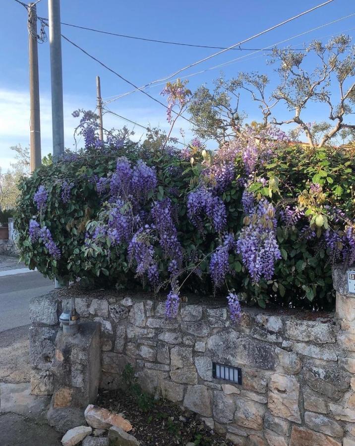 Trulli Nonna Graziella Vila Locorotondo Exterior foto